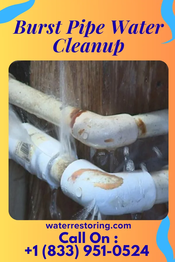 Burst Pipe Water Cleanup in Park Layne, OH