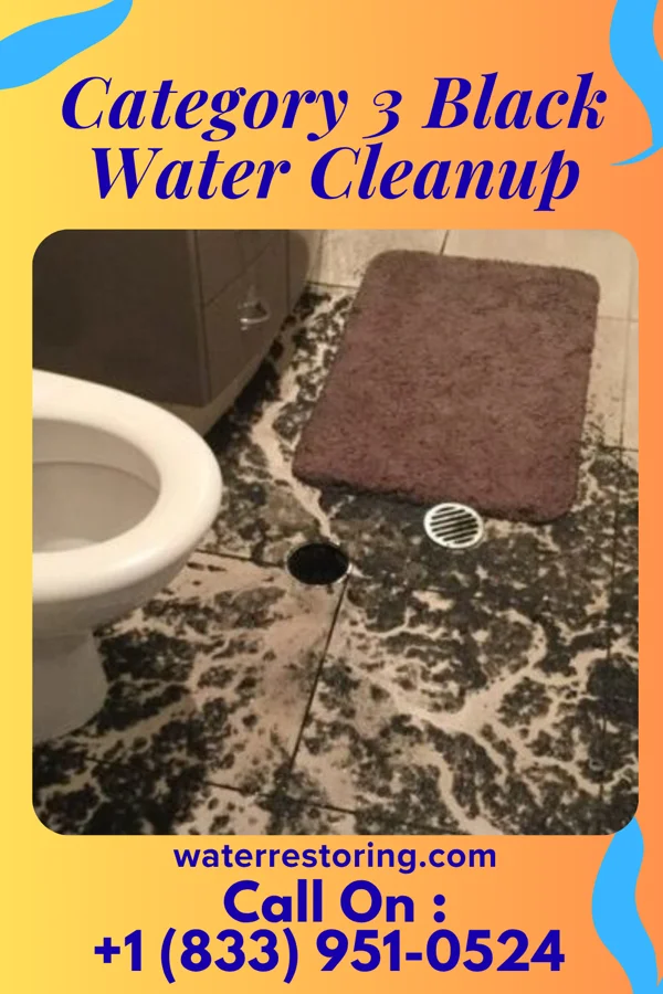Category 3 Black Water Cleanup in Park Layne, OH