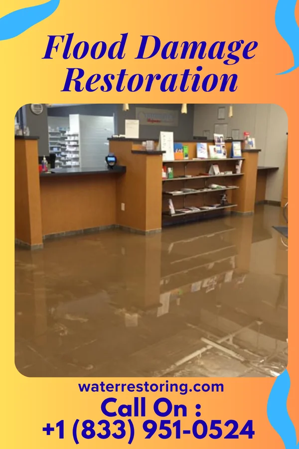 Flood Damage Restoration in Park Layne, OH